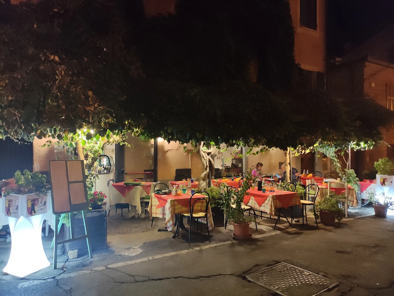 Dehors sotto il pergolato illuminato di sera
