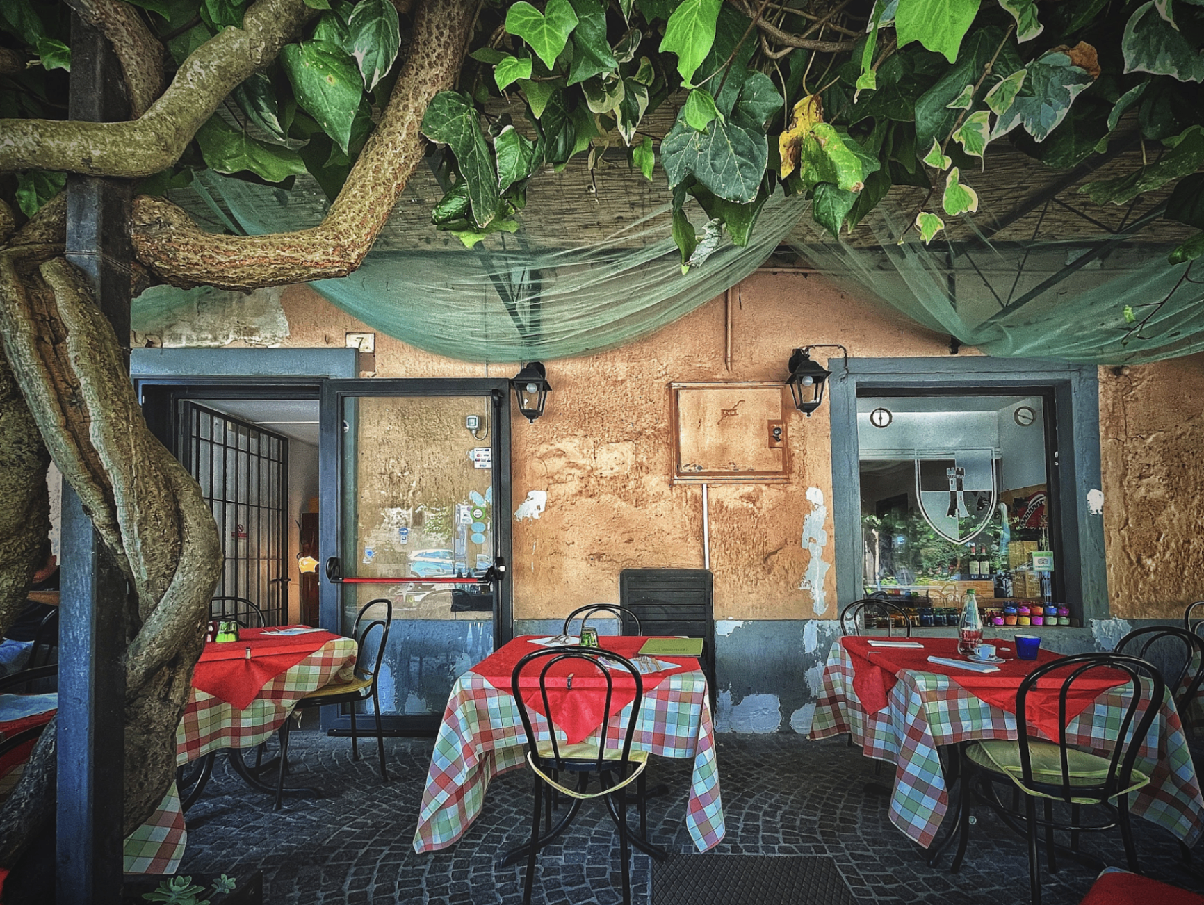 Dehors della Trattoria Al Corsica: tavoli con tovaglie a scacchi rosse sotto il pergolato di edera